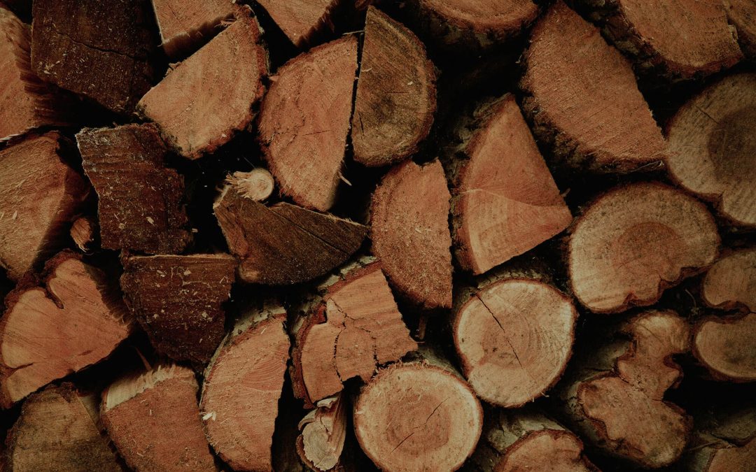 Mastering the Art of Wood Selection: How Different Woods Impact Flavor